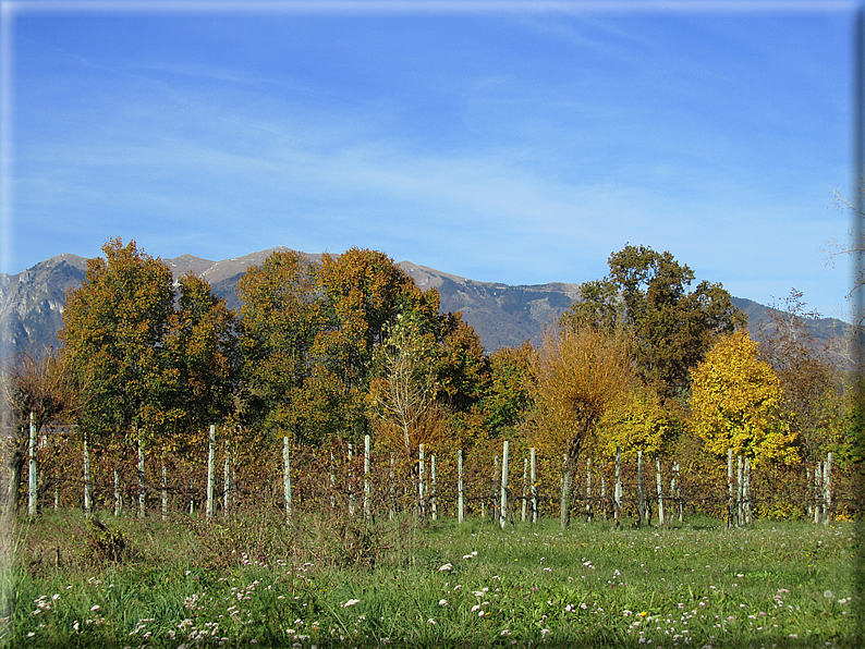 foto Alle pendici del Monte Grappa in Autunno